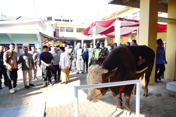Bupati Garut Saksikan penyembelihan Hewan Kurban Bantuan Presiden RI di Ponpes Assa’adah Limbangan